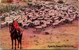 Vtg Postcard 1910s Agoure Sheep In California Newman Post Card Company UNP - £9.07 GBP