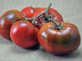 Paul Robeson Tomato, Rare Heirloom, NON-GMO, Beefsteak Type, Variety Siz... - $1.67+