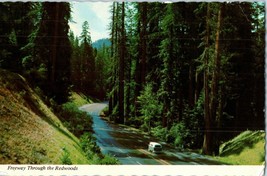 Freeway Through the Redwoods California Postcard w/ Green VW Van 1968 - £10.08 GBP