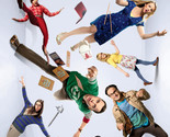 The Big Bang Theory Season 11 DVD | Region 4 - $15.19