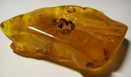 Unique Large Amber Stone Natural amber stone Collector Piece Genuine Amber bead - £172.48 GBP