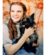 Wizard of Oz  A Judy Garland Vintage 8X10 Color Movie Memorabilia Photo - $6.99