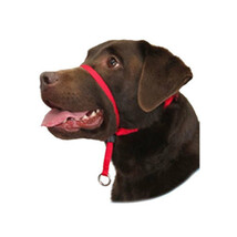 Gentle Leader Dog Head Colllar - Small - $46.00
