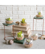 Set Of 6 Realistic Artificial Botanica Succulents Plants In Round Glass ... - $88.84 CAD