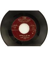Lot of 10 45 RPM Records, Mixed Genres, Como, Mitchell, Webb Pierce, VG,... - $33.44 CAD