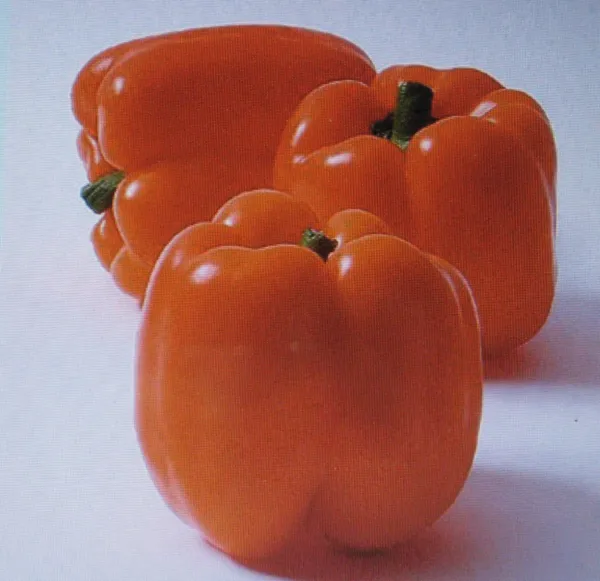 Sweet Horizon Pepper Orange 25 Seeds Colorful - $6.78