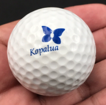 Kapalua Resort Golf Club Maui Hawaii Souvenir Golf Ball Acushnet Surlyn - $9.49