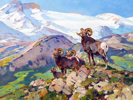 Framed canvas art print giclee big horns mountain goats rams wild western animal - £34.22 GBP+