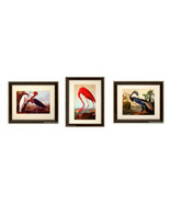Birds of America, Audubon Vintage Style framed Framed Prints Finest Quality - $112.00