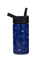 Cheeky Kids Go 14oz Insulated Stainless Steel Water Bottle With Straw Li... - £6.68 GBP