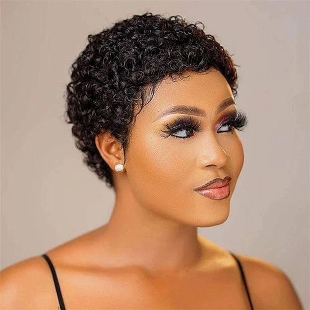 Cheap Short Curly Human Hair Wig For Black Women Remy Brazilian Hair Afro Curl - $22.21