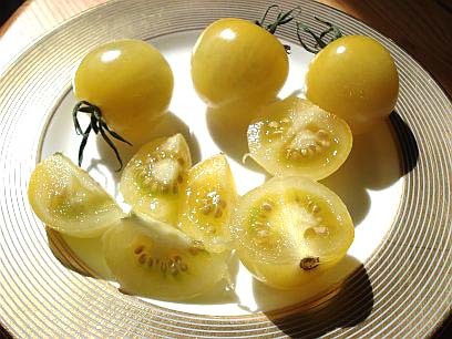 20 Snow White - Organic Heirloom Tomato Seeds - Non-Acidic Cherry