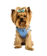BECHIVA Soft real leather harness for small dog/cat. Chihuahua, Yorkshir... - £72.29 GBP