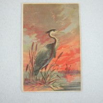 Antique 1882 Victorian Trade Card Farmers Review Crane In Marsh At Sunse... - $19.99