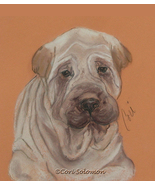 Shar Pei Dog Art Pastels Drawing Solomon - £67.94 GBP
