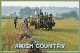 Postcard Amish Country Farmers Hay Horse Cart Pennsylvania Unused - £4.57 GBP