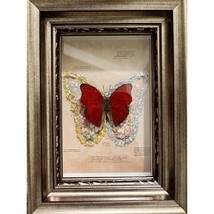 Red Butterfly Specimen Insect Cymothoe Sangaris Butterfly Flash Butterfly - £70.10 GBP