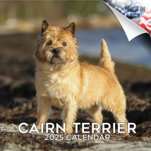 Cairn Terrier Wall Calendar 2025 DOG Animal PET Lover Gift - £19.00 GBP