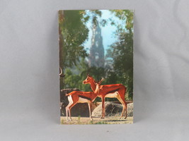 Vintage Postcard - African Plain Gazelle San Diego Zoo - Unbranded - £11.74 GBP