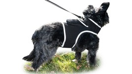 Advanced GPS Realtime Pet Tracking System Collar Mini Portable Tracker Size:XXL( - $87.30