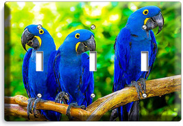 Hyacinth Tropical Blue Macaw Love Birds Parrots Triple Light Switch Plate Decor - £13.58 GBP