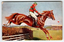 Steeplechasing An Easy Winner Postcard Raphael Tuck Horseracing Horse Rider 6670 - £24.36 GBP