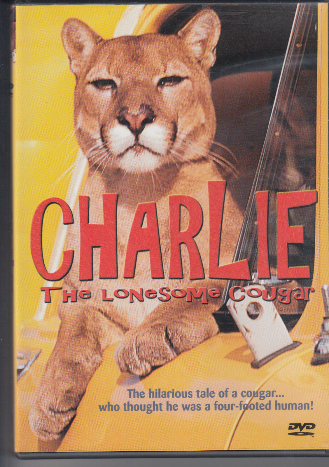 Charlie the Lonesome Cougar (DVD) RARE - $27.34