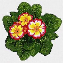 Pepita Needlepoint Canvas: Primrose Plant, 10&quot; x 10&quot; - £62.55 GBP+