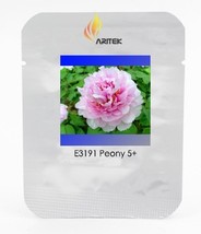 Very Fen Zhong Guan Pink Pretty Peony Flower Seeds Pack 5 Seeds Light Fragrant F - $11.74