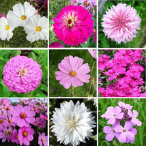 Best Wildflower Mix TICKLED PINK Heirloom Pink Flowers Zinnias &amp; more 500+ Seeds - £3.73 GBP