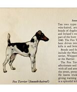 Fox Terrier Smooth 1939 Dog Breed Art Ole Larsen Color Plate Print PCBG17 - €25,75 EUR