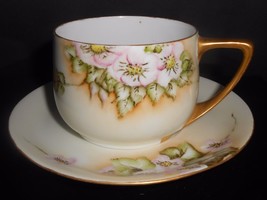 Rosenthal Cup and Saucer Donatello Wild Rose 1922 Green Mark Antique - $9.90