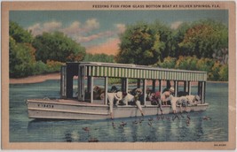 Vintage 1936 Feeding Fish from Glass-Bottom Boat at Silver Springs, FL  (A2) - £3.55 GBP