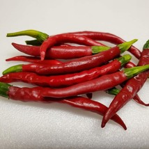 Chile De Arbol Hot Pepper Seeds Vegetable Seeds Seed Packets USA Fast Shipping - $17.77