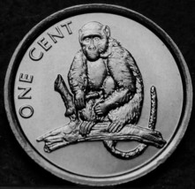 Cook Inseln Cent, 2003 Edelstein UNC ~ Affe Nur Jahr Minted - £3.27 GBP