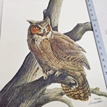 WD Gaither Owl Wildlife Print 16x20 Signed Limited Edition Number 58 of 1000 Vtg - £33.77 GBP