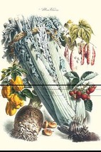 Vegetables; Celery, Bell Peppers, Strawberries, and Legumes by Philippe-... - £17.57 GBP+