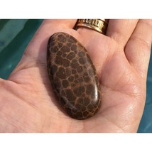 Brown Fishscale Jasper Natural Oval Cabochon Gemstone 53x27x6.5mm - £28.77 GBP