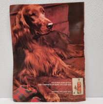 1981 Magazine Print Ad Johnnie Walker Red Scotch Whiskey Irish Setter Bar - $7.71