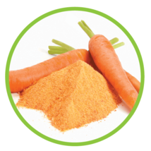 Fresh Carrot Powder (250 gm) free shipping world - $18.02