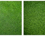 Football Grass, 300 seeds, evergreen grass Garden - £12.54 GBP