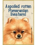 A spoiled rotten Pomeranian lives here! Wood Fridge Locker Magnet 2.5X3.... - £4.59 GBP