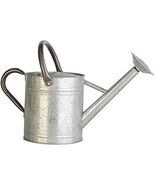 Panacea 086083 Vintage 1 Gallon Aged Galvanized Plant Container Accessories - €34,93 EUR