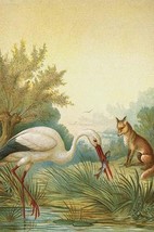 Fox &amp; the Stork by Anton Hochstein - Art Print - £17.29 GBP+