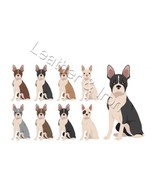 New Boston Terrier Various Colors Dog Illustration Pattern Design Checkb... - $13.51 CAD