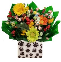 Puppy Paws Hard Candy Bouquet gift - Great as a Birthday, Congratulations gift o - £35.96 GBP