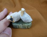 y-bir-lo-451 Lovebirds pair birds white onyx gemstone SOAPSTONE figurine... - $20.56