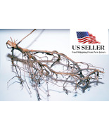 NATURAL DRIFTWOOD #BS009 WYSIWYG - AQUASCAPING, SUPER PRICE!!! BONSAI TR... - $81.32 CAD