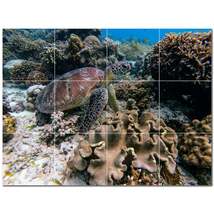 Coral Ceramic Tile Wall Mural Kitchen Backsplash Bathroom Shower P500417 - $120.00+