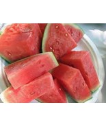 Watermelon Seed Garden Collection, Heirloom, Non GMO, Organic Seeds, 6 T... - £5.87 GBP